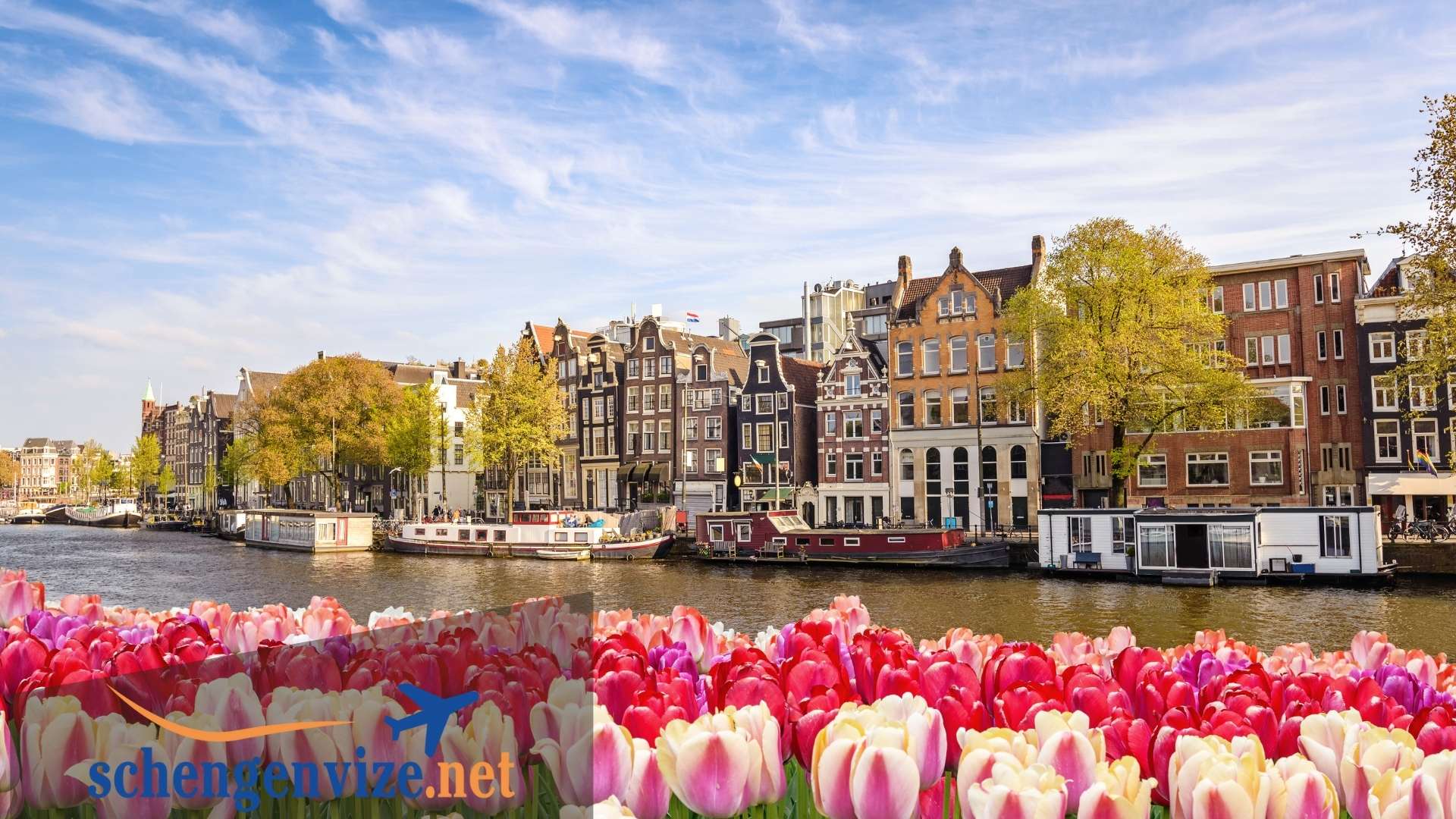 Hollanda Aile Ziyaret Vizesi için gerekli evraklar