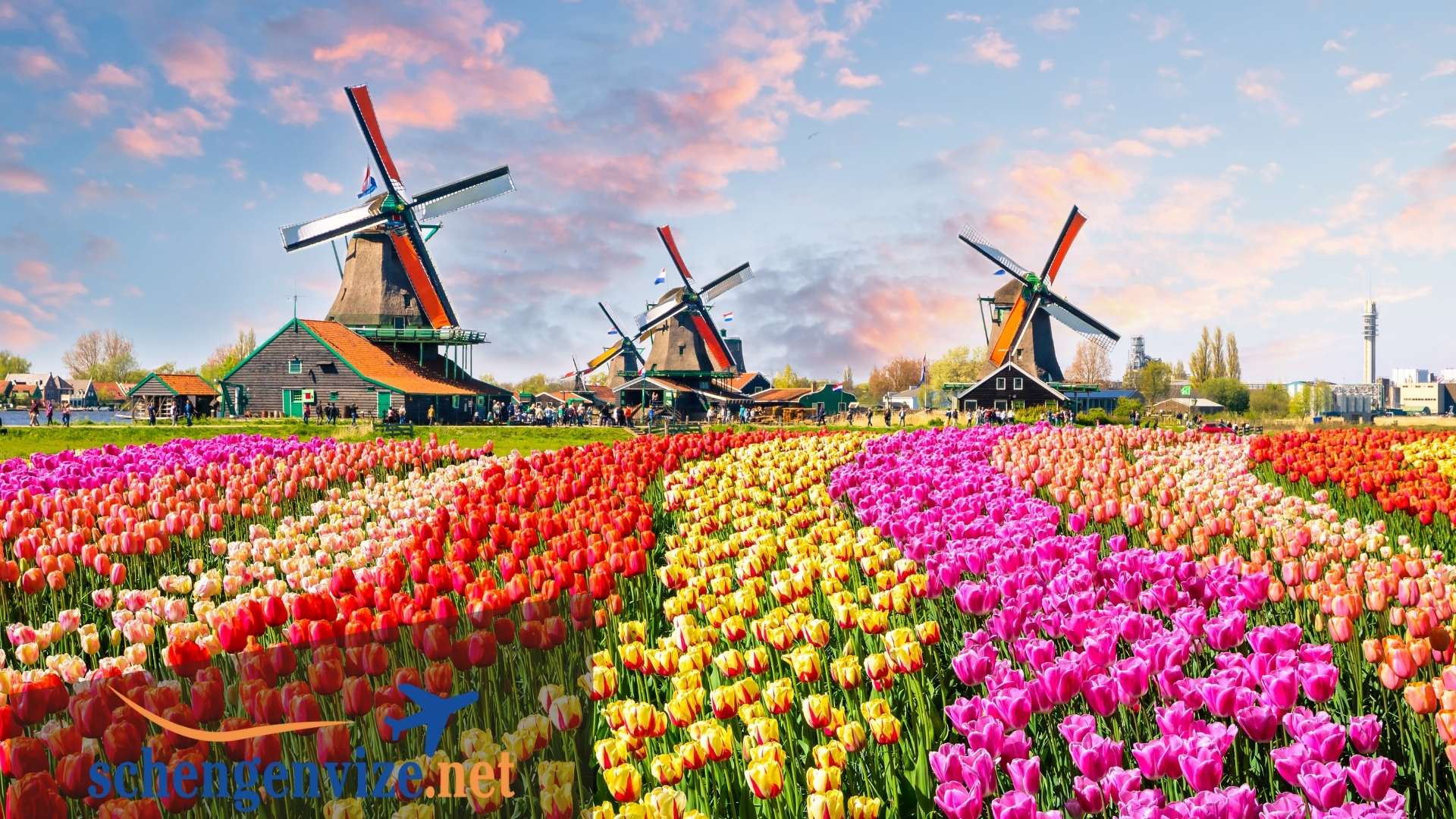 Hollanda Turistik vize için gerekli evraklar